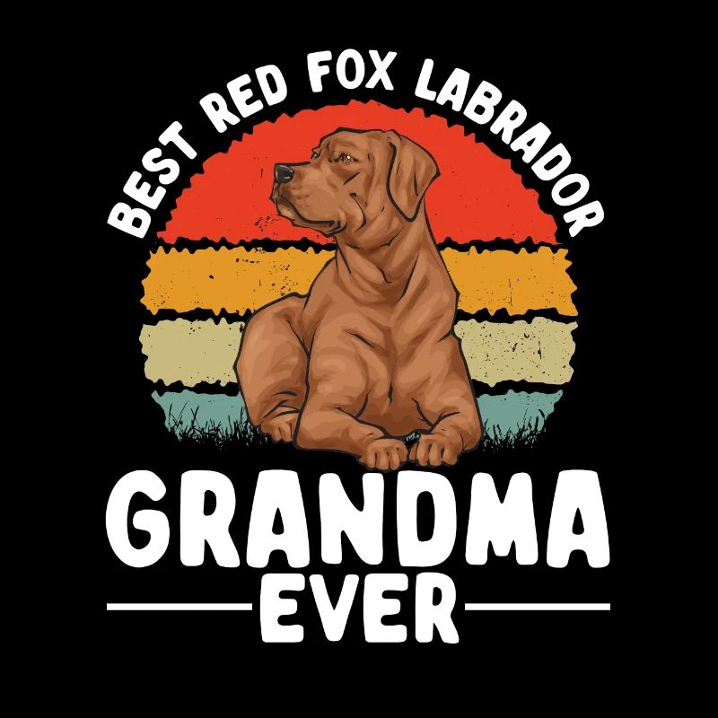 Fuchsroter Labrador Retriever Fox Labrador rouge