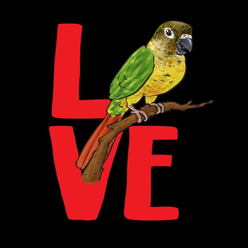 Molinasittich Papagei Vogel Sittich