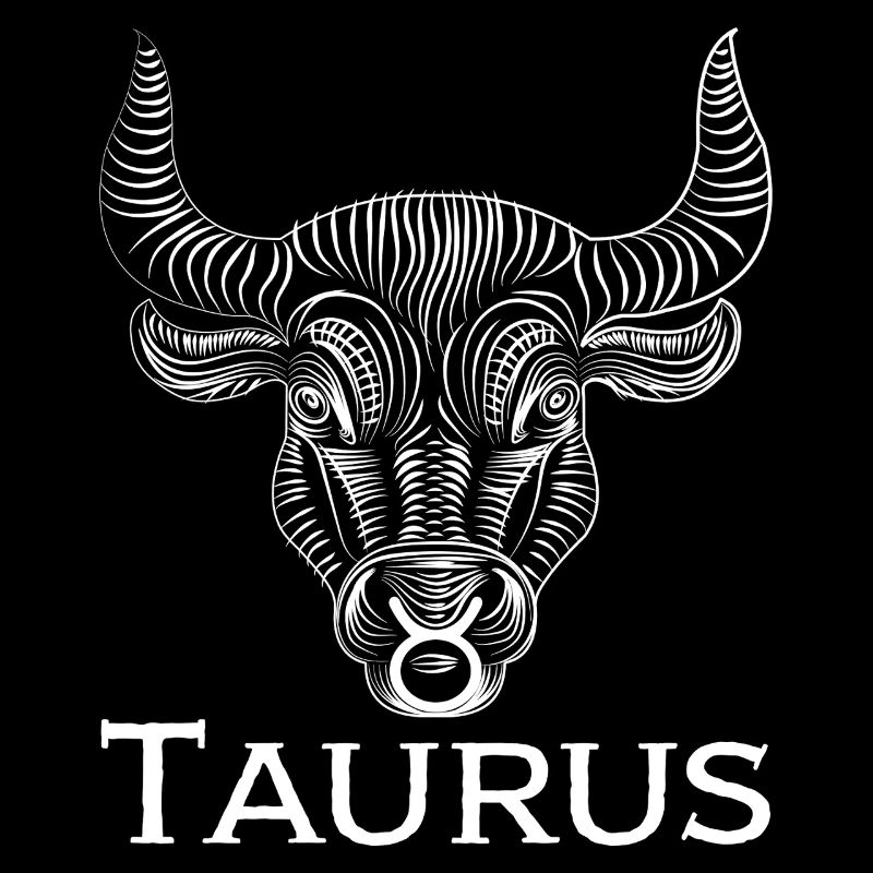 taurus1w Zeichenfläche 1