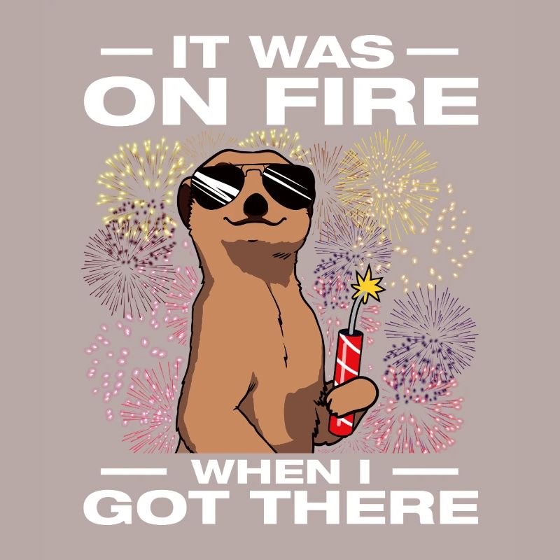 It was on fire: pyrotechnicians, firecrackers, fireworks