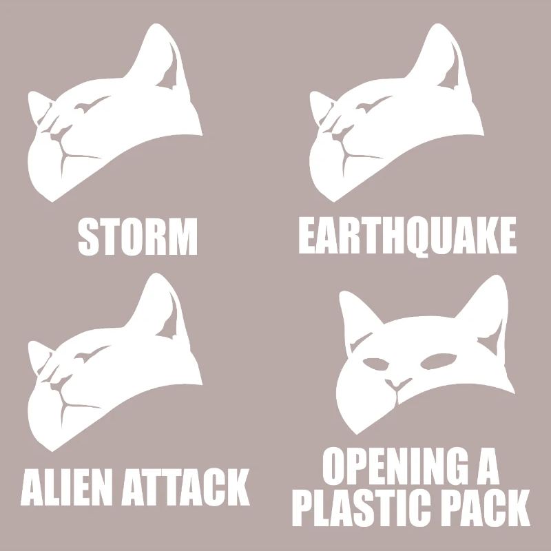 Cat - selective perception - saying