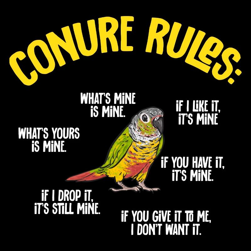 Molina Perruche Perroquet Perruche Oiseau Perruche