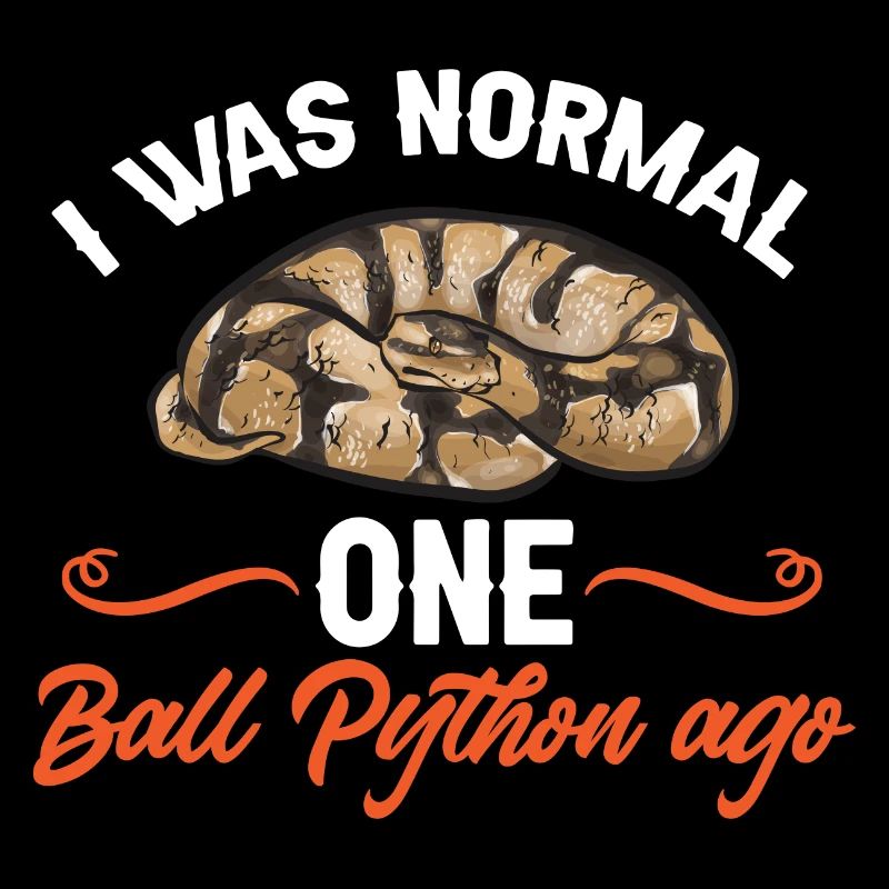 Ball Python Schlange Königspython