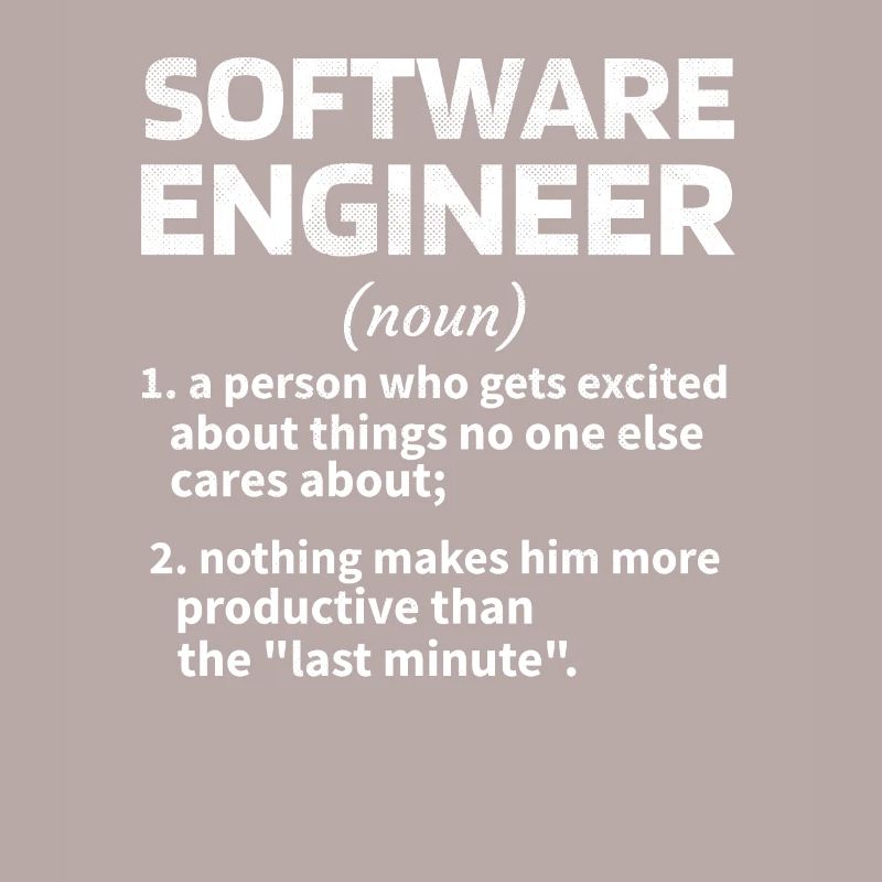 Softwareingenieur Software Engineer Techniker