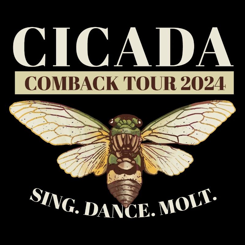 Cicada Brood Swarm Cicada Comeback Tour 2024