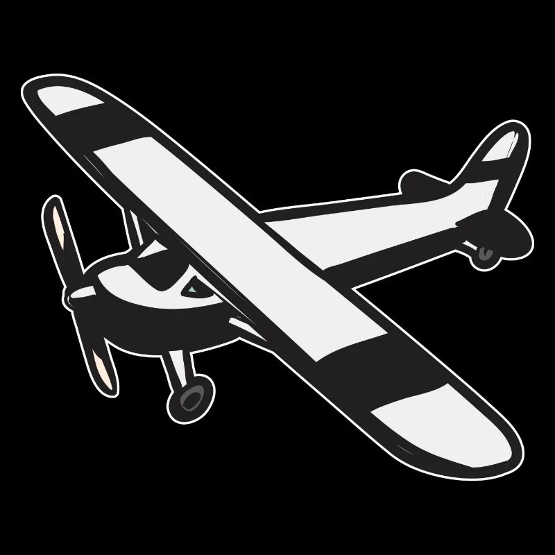 Remote Controlled Airplane Model Airplane