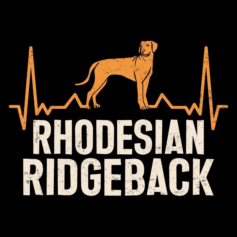 Chien Rhodesian Ridgeback
