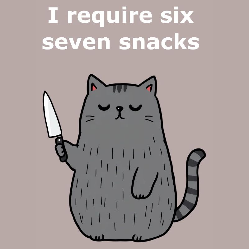 6-7 Internet Meme 6 7 Snack Cat
