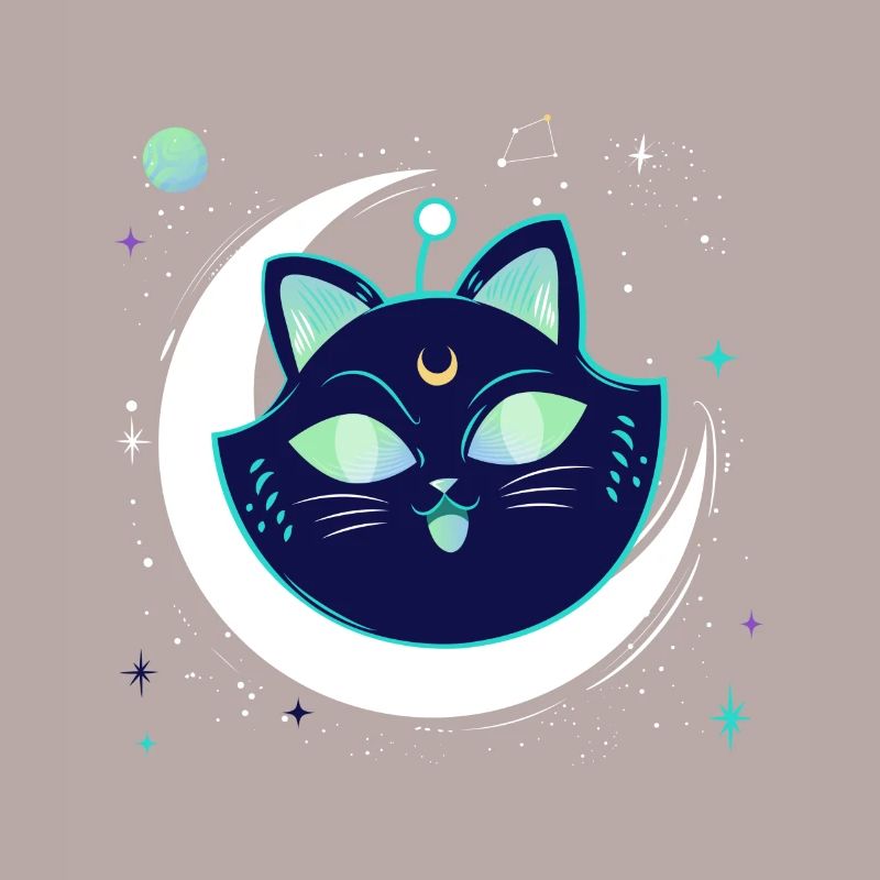 Galaxy Space chat avec lune dans l’espace