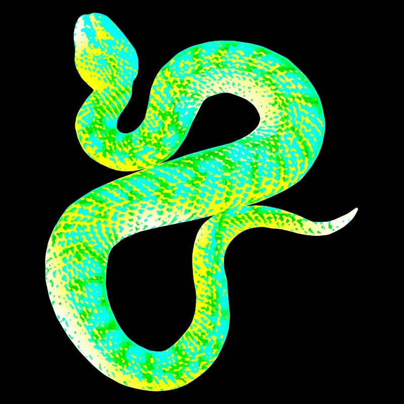 Psychedelic Snake - Gift Snake Lover
