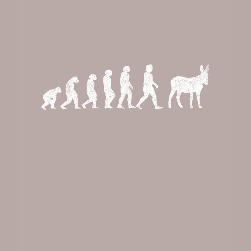 Esel Maultiere Maultier Mulis Evolution