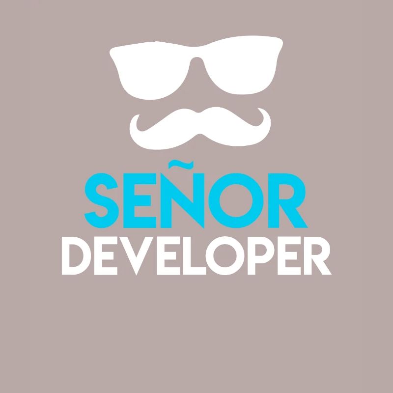 Senor Developer Computer Scientist Nerd Developer
