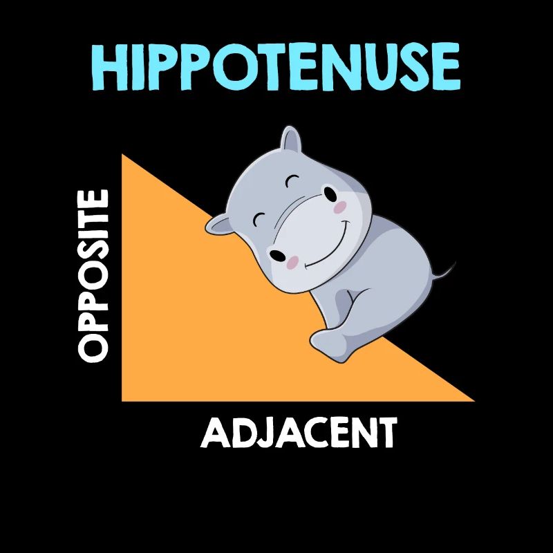 Analyse de l’algèbre d’Hippotenuse