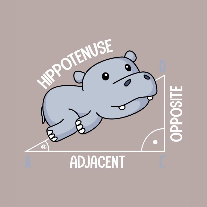 Mathematics Hippotenuse fun math