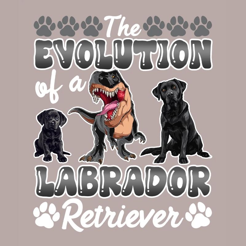 Hundebesitzer DIE EVOLUTION EINES LABRADOR