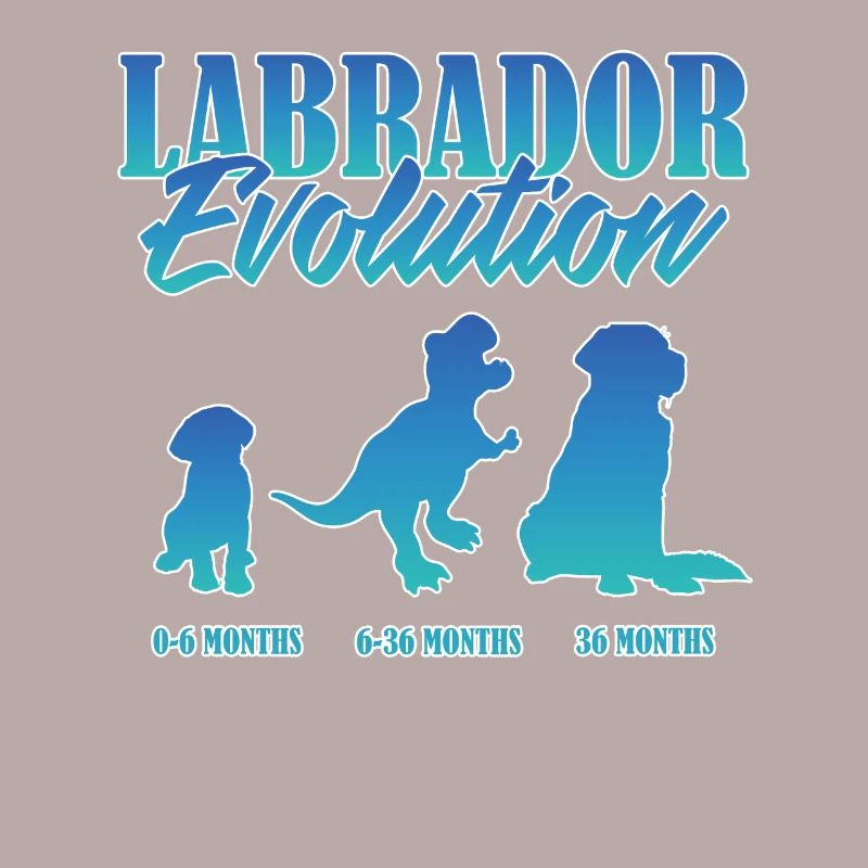 LABRADOR EVOLUTION Labrador Owner Funny