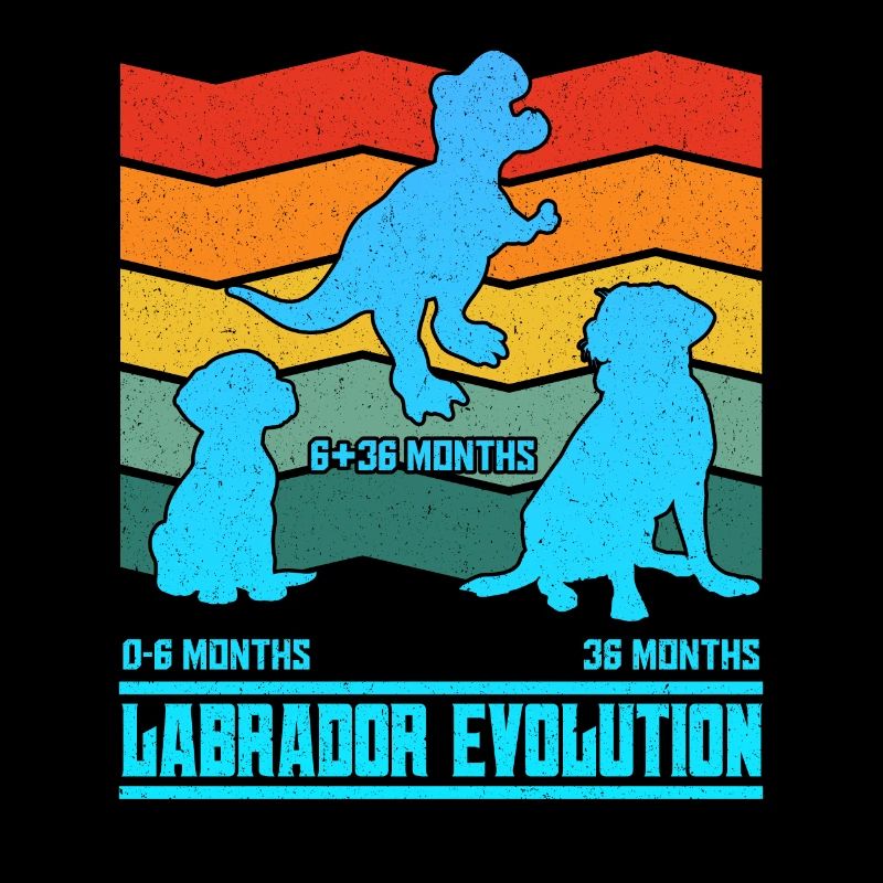 Propriétaire Labrador LABRADOR EVOLUTION Drôle