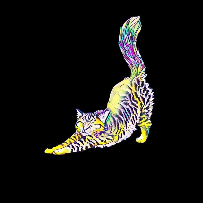 chat