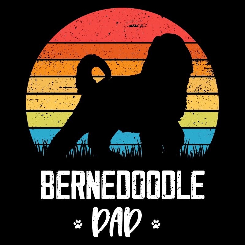 Bernedoodle Hund