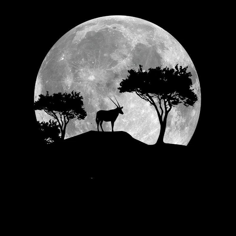 Antelope Moon Design