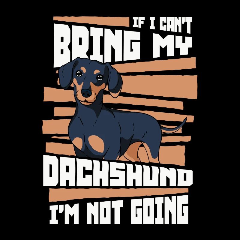 Dachshund Dog