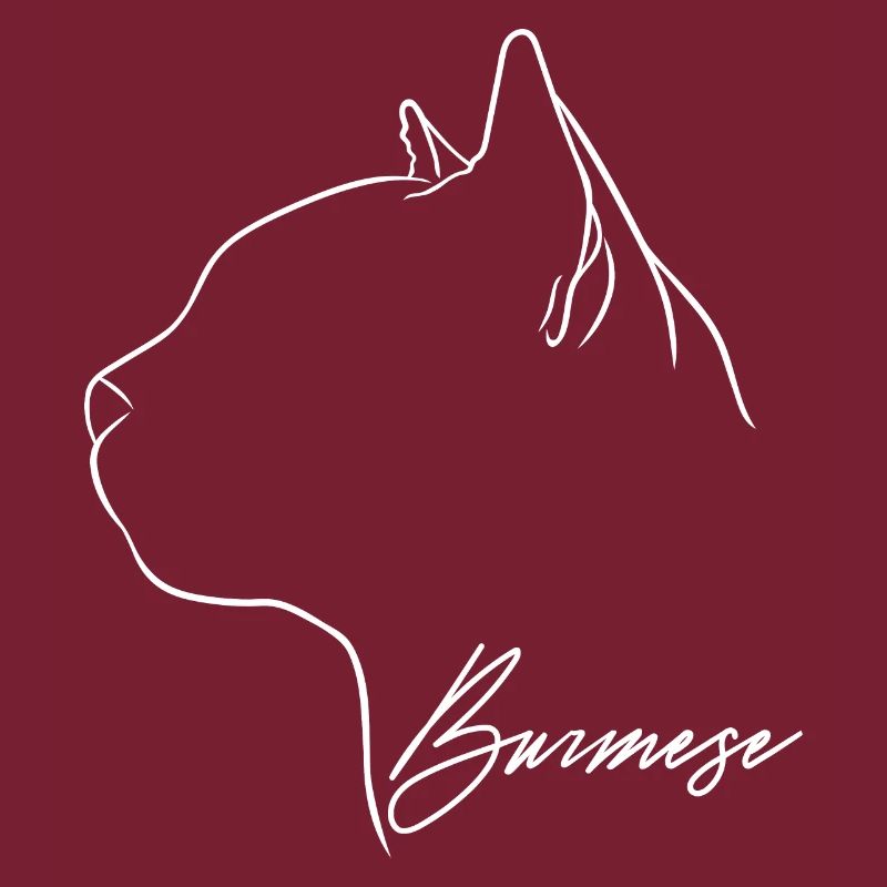 Profil Birman Chat Cat Wilsigns