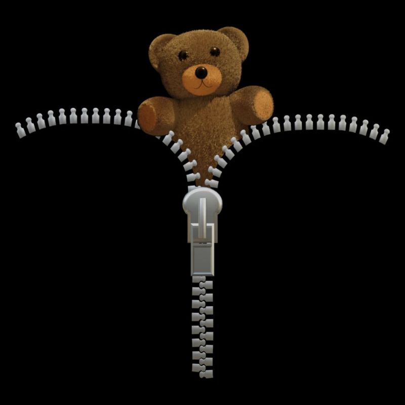 Fermeture éclair avec Teddy - Argent