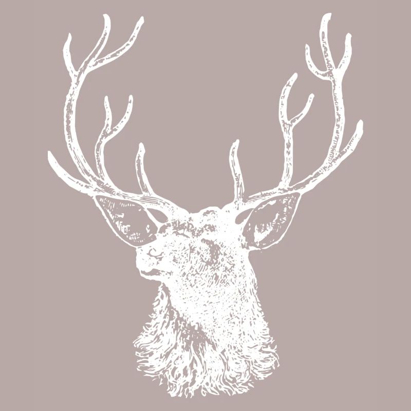 Hirsch Elch Geweih Hirschkopf Jäger