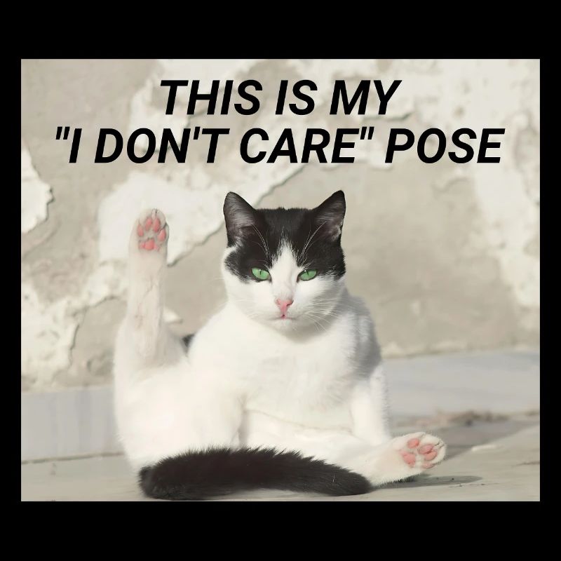 C’EST MA POSE « JE M’EN FICHE » - Meme Cat
