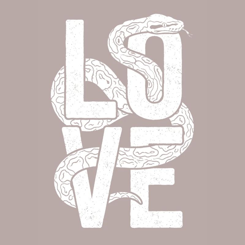 Königspython Schlangen LOVE Terrarium Python