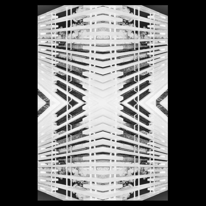 Bois abstrait V.2