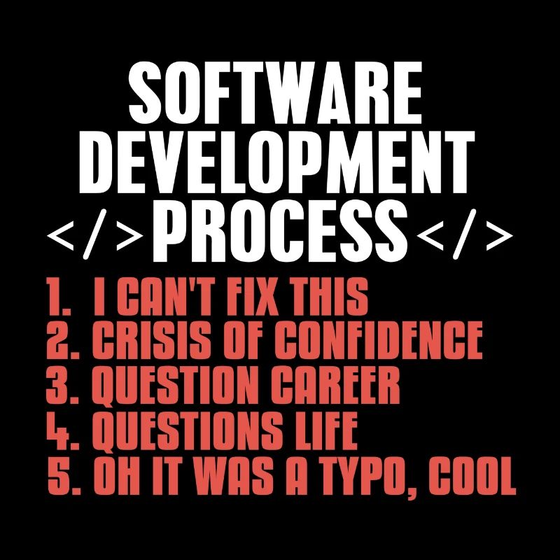 programmeur
