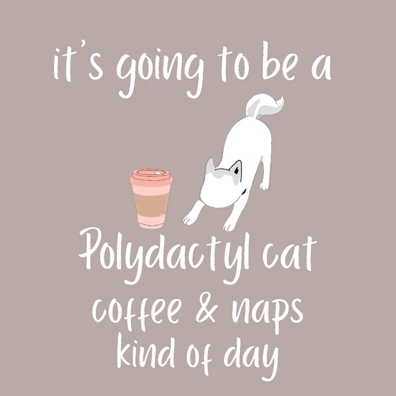 es wird ein Polydactyl Katze Kaffee Nickerchen Tee