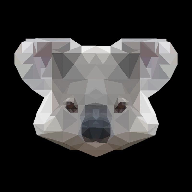 Mr. Koala