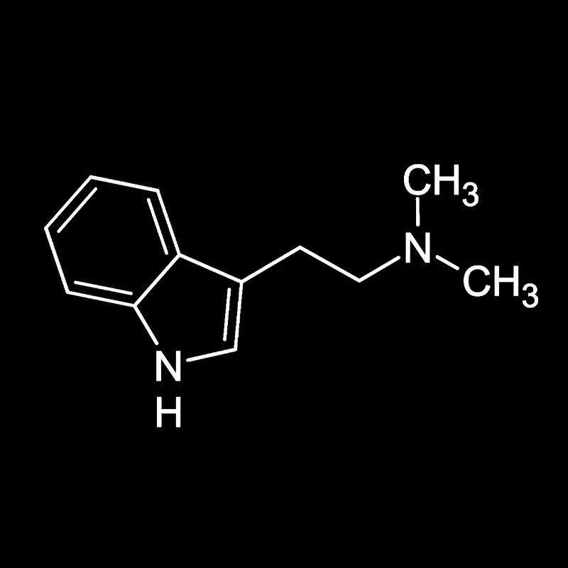 DMT