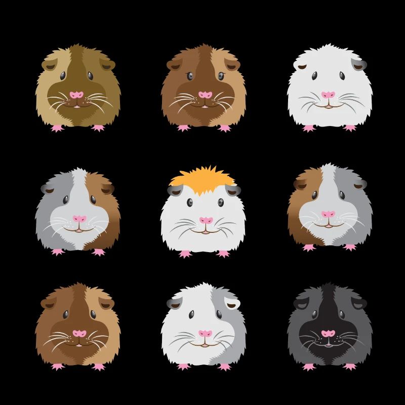 Neun Meerschweinchen Gesichter