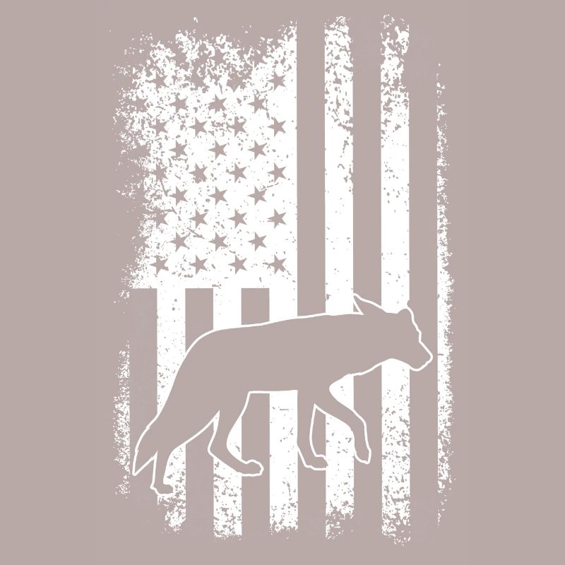 Conception de coyote pour les réacteurs de coyote