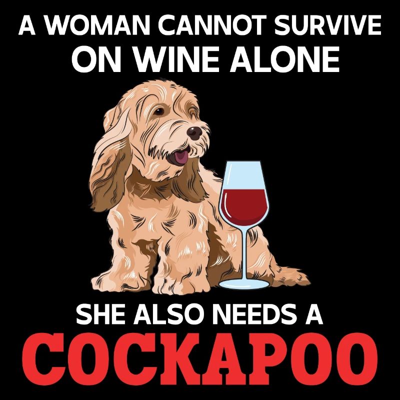 Cockapoo Chien