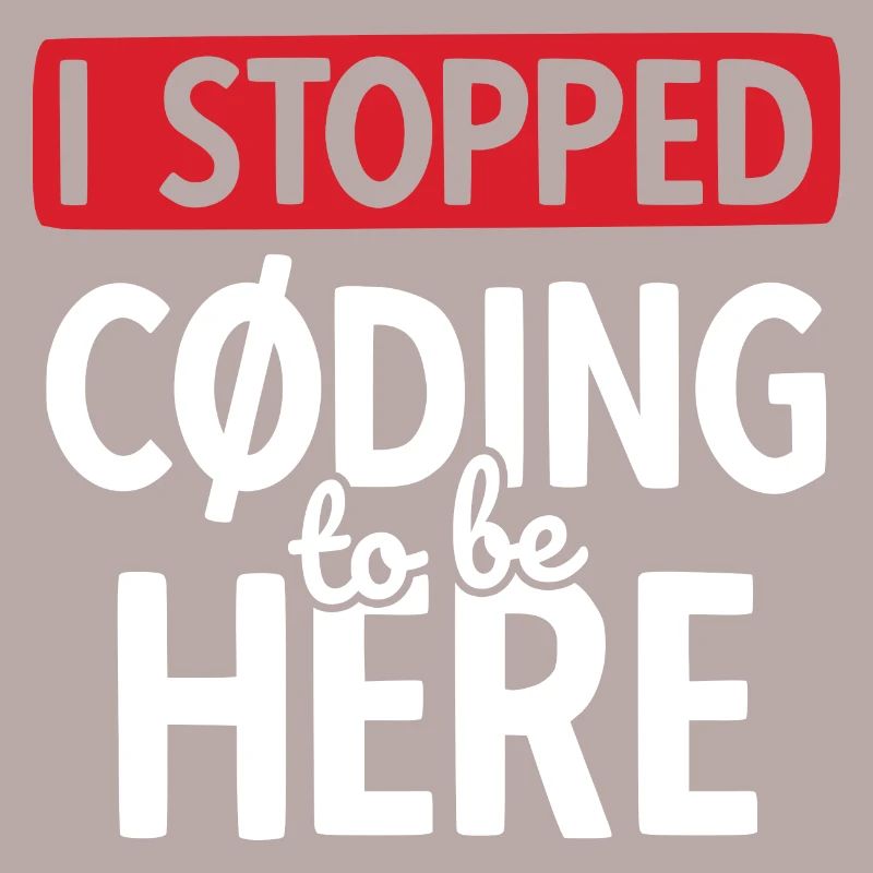 Software Ingenieur Informatiker Programmierer