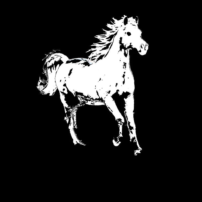Cheval blanc