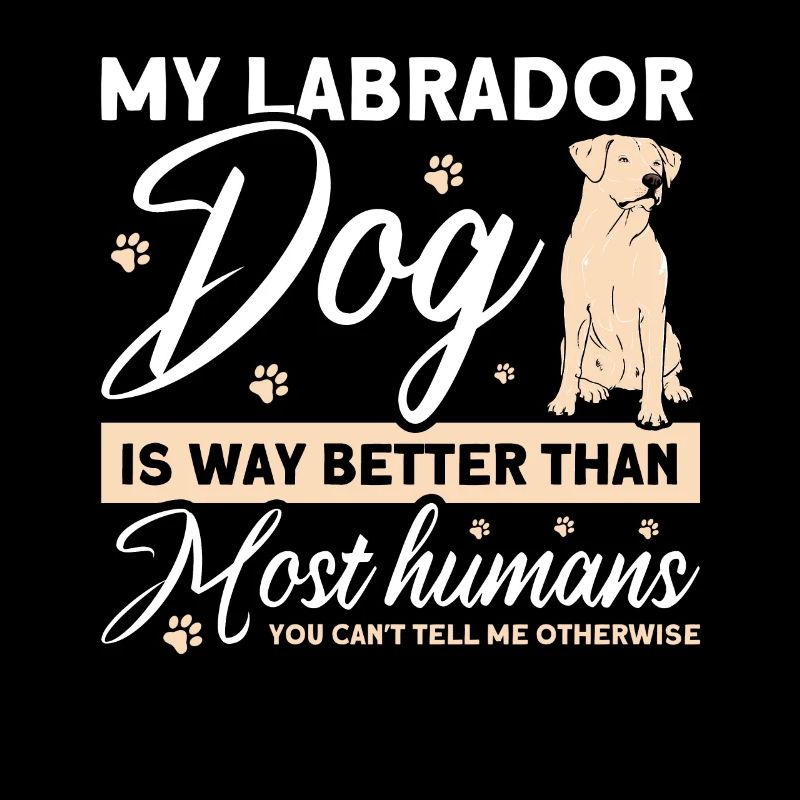 Pet Labrador Mama Dog Labrador