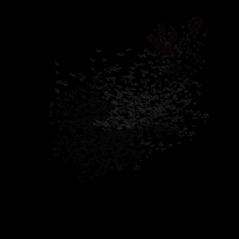 Wikinger - Walhalla Raben Grafik