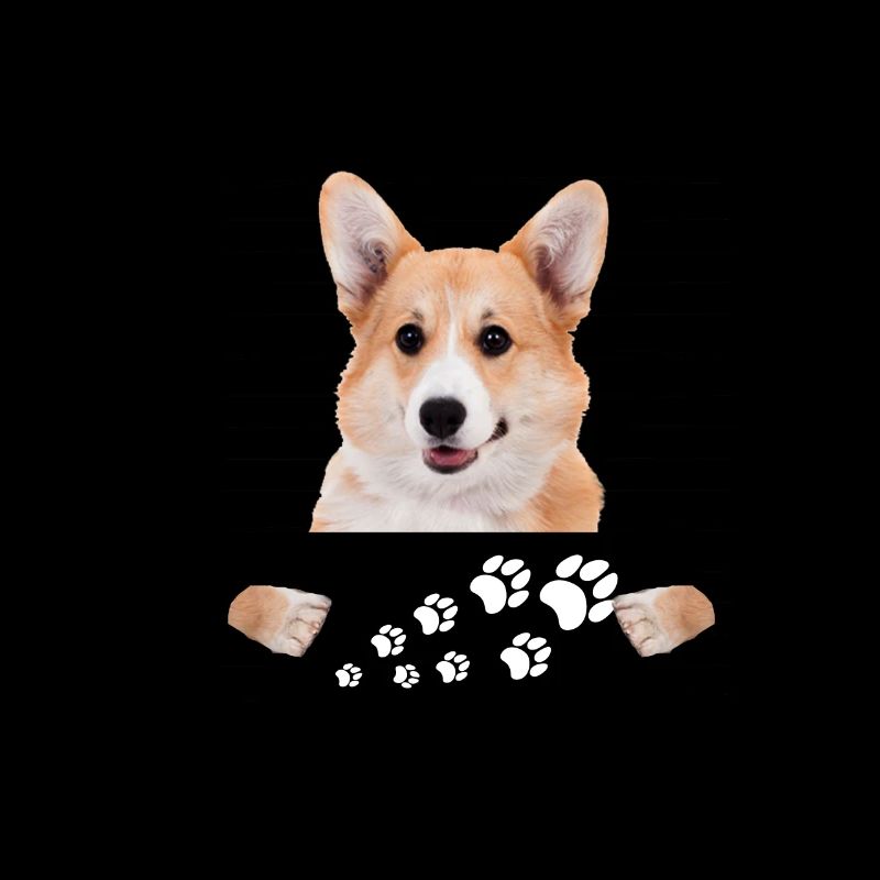 Welsh Corgi