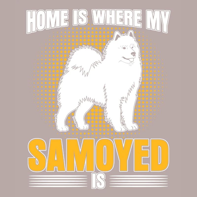 Samojede Samoyed dog Samoyede Hund