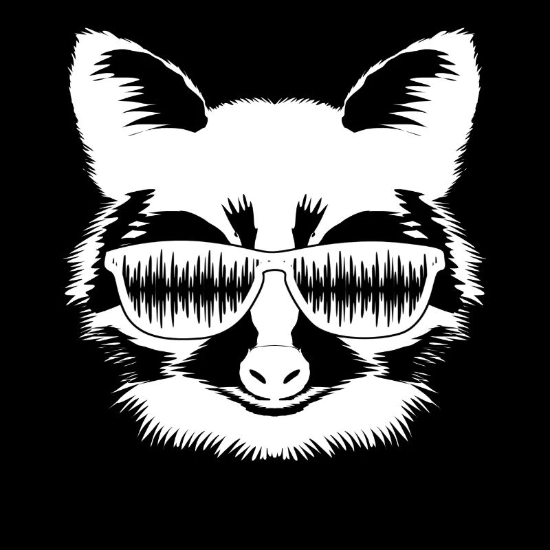 Synthesizer Raccoon Modular Synthesizers