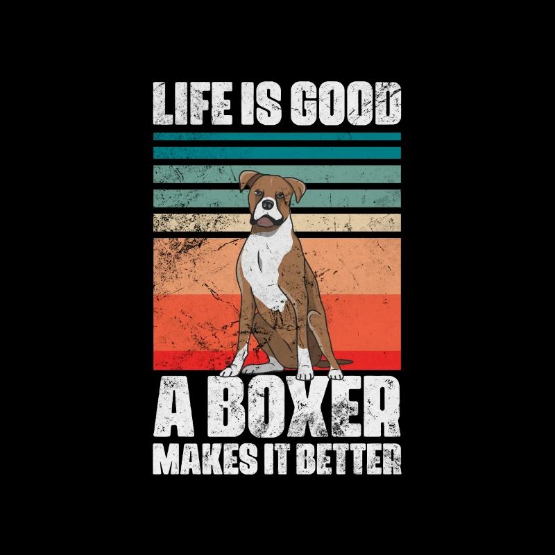 Boxer Hund