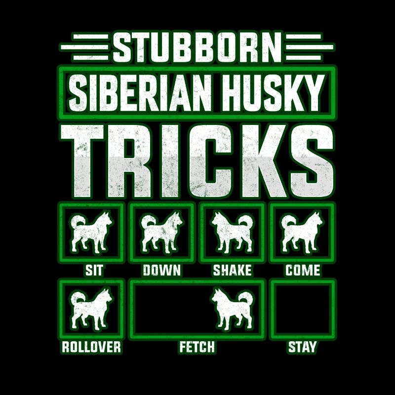 Astuces obstinées de Husky sibérien
