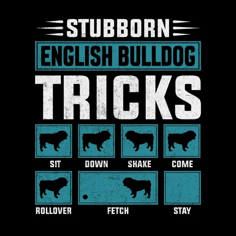 Astuces de bouledogue anglais têtus