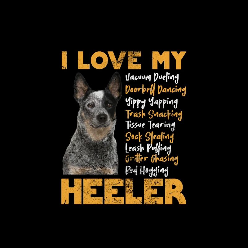 Australian Cattle Dog