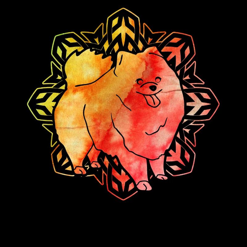 Pomeranian Zwergspitz